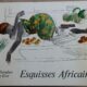 ESQUISSES AFRICAINES por Hans Erni